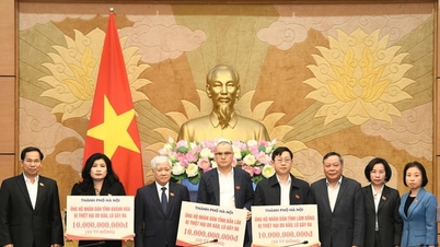 Hanoi stellt 30 Milliarden VND zur Unterstützung der drei Provinzen Dak Lak, Lam Dong und Khanh Hoa bei der Bewältigung der Folgen der Überschwemmungen bereit.