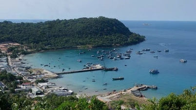 Tho Chau - Un rayon de soleil dans la « numérisation » de l'économie maritime