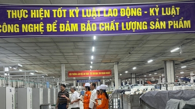 지속 가능한 개발을 위한 경제적이고 효율적인 에너지 활용