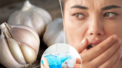 Une découverte scientifique surprenante : l’ail tue les bactéries plus efficacement qu’un bain de bouche.