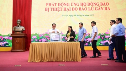 وزارة الزراعة والبيئة تواصل دعم المتضررين من الفيضانات