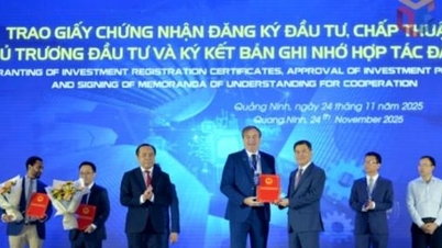 ខេត្ត Quang Ninh ជំរុញការវិនិយោគក្នុងការអភិវឌ្ឍន៍វិទ្យាសាស្ត្រ និងបច្ចេកវិទ្យា ការច្នៃប្រឌិត និងការផ្លាស់ប្តូរឌីជីថល