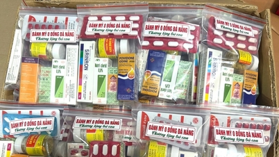 다낭 자원봉사단, 홍수 피해자들에게 수천 개의 의료품 전달