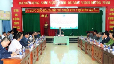 מנהיגי הוועד העממי של העיר דא נאנג עובדים עם קהילות גבול על בניית פנימיות בין-מפלסיות