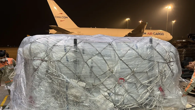 Lô hàng viện trợ của EU đến Hà Nội, chuẩn bị vận chuyển vào Đắk Lắk