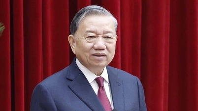 Secretar general: Există încălcări repetate pe o perioadă lungă de timp, dar acestea sunt detectate lent.