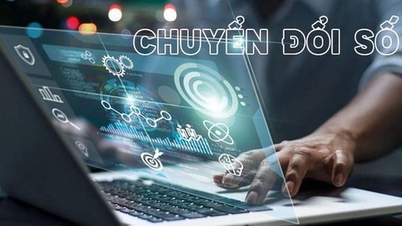 Ψηφιακός μετασχηματισμός του τομέα των επιθεωρήσεων: Από τη μεταρρύθμιση των διαδικασιών στη διαμόρφωση ενός σύγχρονου συστήματος δεδομένων