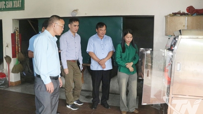 Promotie van de industrie ter ondersteuning van de ontwikkeling van Thaise Nguyen-theeproducten