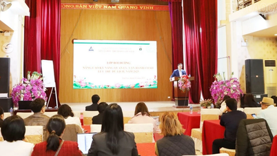 Bồi dưỡng nâng cao kỹ năng quản lý, vận hành cơ sở lưu trú du lịch