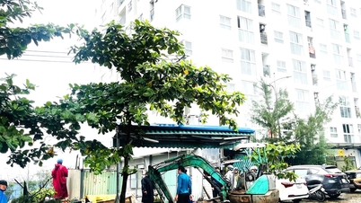 El barrio de Lien Chieu desmantela las construcciones y tiendas que invaden las aceras