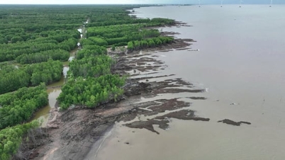 קא מאו: אובדן של כ-6,200 דונם של אדמה ויערות הגנה על החופים