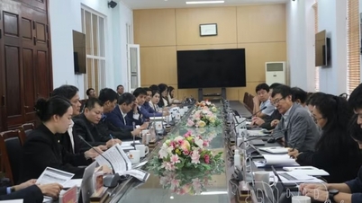 KOICA setzt ein 23 Millionen USD-Projekt für benachteiligte Gebiete in Dien Bien um.