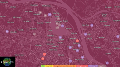 Neue Ansätze zur Überwachung organischer Verschmutzung in Hanoi