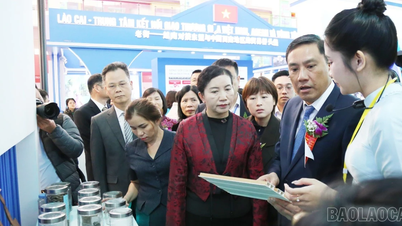 הצלחה בסחר ובשיתוף פעולה גבולי