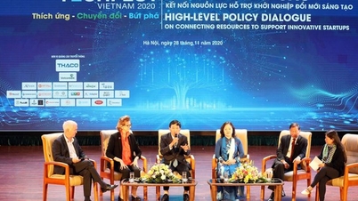 משתתפים במערכת האקולוגית של סטארט-אפים חדשנית: מניעים, חסמים והמלצות