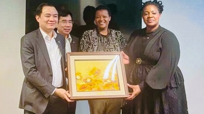 Petrovietnam søker nye samarbeidsmuligheter innen olje-, gass- og energisektoren med sørafrikanske partnere.