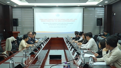 Đà Nẵng làm việc với chuyên gia Thụy Sĩ về hợp tác đào tạo và phát triển nhân lực y tế