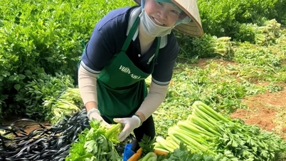 'ڈبل' پریشر سبزی منڈی میں زبردست اتار چڑھاؤ کا سبب بنتا ہے۔