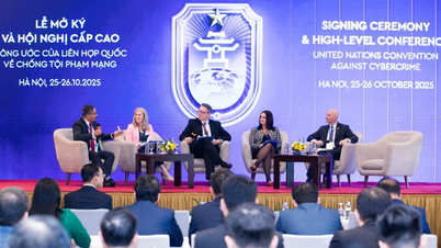 Att ena kontaktpunkten för cybersäkerhetshantering: Ett brådskande behov i samband med ökande cyberbrottslighet