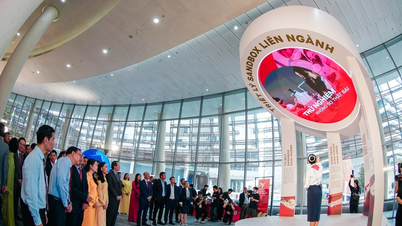 جامعة فان لانج تطلق مركزًا واسع النطاق للابتكار