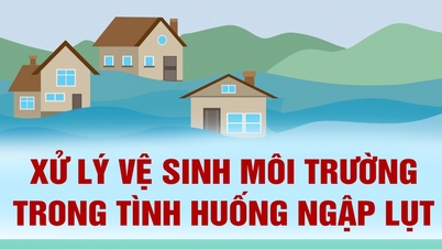 (Інфографіка) Екологічна санітарія під час повеней