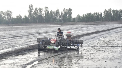 อัน เกียง สร้างปฏิทินตามฤดูกาลสำหรับการผลิตข้าวในแต่ละปี