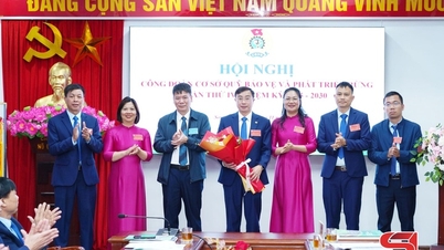 چهارمین کنفرانس اتحادیه کارگری مردمی صندوق حفاظت و توسعه جنگل‌های استان سون لا