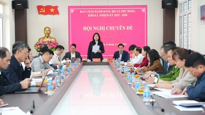 A Phu Dong község pártvégrehajtó bizottsága 4 teljes távú munkaprogramot hagyott jóvá.