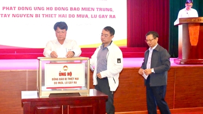 Het Comité van het Vietnamese Vaderlandsfront in de stad Hai Phong helpt de inwoners om de gevolgen van de overstromingen te boven te komen.