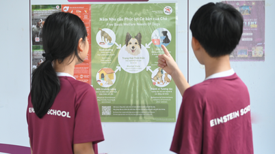 Köpek, kedi ve evcil hayvan eti ticaretiyle ilgili okul eğitim programı başlatıldı