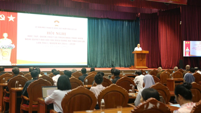 Implementing the Resolution of the 1st Congress of Gia Lai Provincial Party Committee