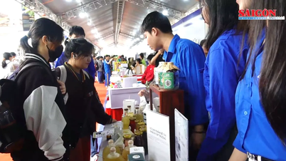 Direcție sustenabilă pentru produsele medicinale în Da Nang