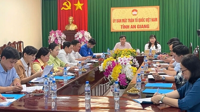 Het opstellen van richtlijnen voor de organisatie en werking van volksinspectiecommissies en toezichtscommissies voor gemeenschapsinvesteringen