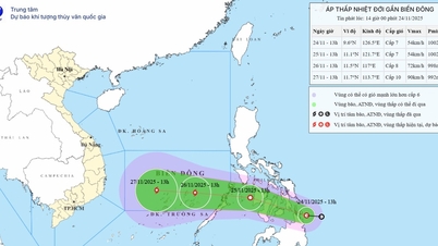 Proactively respond to tropical depression that is likely to strengthen into a storm near the East Sea