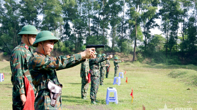 Vojenský region 7 kontroluje vojenské a obranné úkoly v divizi 309