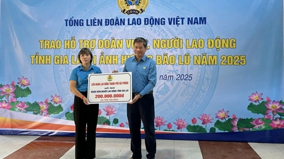 សហជីពផ្តល់ជំនួយសង្គ្រោះបន្ទាន់ជាង 1,5 ពាន់លានដុងដើម្បីជួយកម្មករនៅ Gia Lai ។