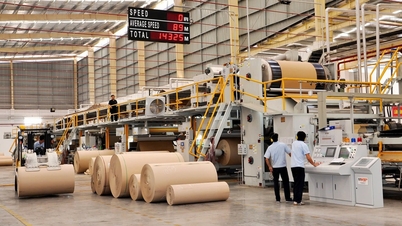 Tayland'ın elindeki hisseler büyük, Bien Hoa Ambalaj Anonim Şirketi borsadan çıkmak istiyor