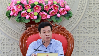 Dewan Rakyat Provinsi Lam Dong memberikan pendapat tentang banyak konten penting yang akan disampaikan pada pertemuan tematik.