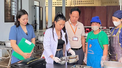 Specjalistyczna kontrola bezpieczeństwa żywności w 24 szkołach