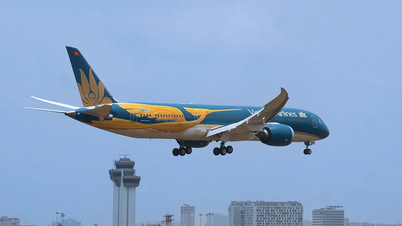 เหตุใดจำนวนนักท่องเที่ยวชาวเวียดนามที่มาเที่ยวญี่ปุ่นจึงเพิ่มขึ้นอย่างรวดเร็ว?