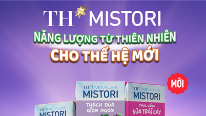 Kumpulan TH melancarkan duo minuman Susu Buah-buahan MISTORI baharu