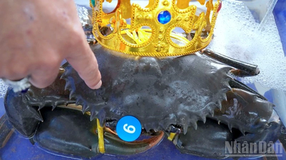 ปูคาเมา เล่าเรื่อง “กลิ่นป่า-รสทะเล”