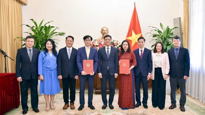 A Külügyminisztérium döntést hozott a vezetők és menedzserek kinevezéséről