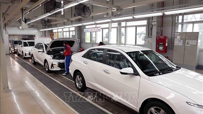 Імпорт повністю зібраних автомобілів дещо зменшується, а комплектуючих та запасних частин знову зростає