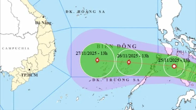 Bertindak balas kepada lekukan tropika yang berkemungkinan menjadi ribut