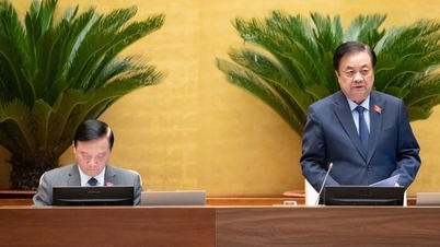 Vizepräsident der Nationalversammlung, Le Minh Hoan: Die rechtlichen Rahmenbedingungen für Technologieentwicklung und Innovation optimieren