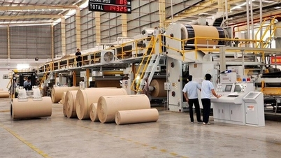 Wietnamska firma pakująca „w rękach” Tajów chce opuścić giełdę