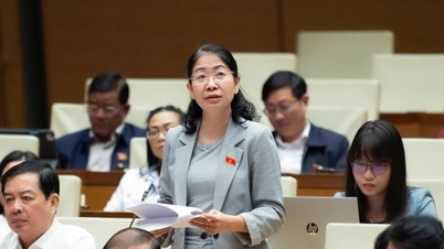 Legalizing the establishment of key multimedia communication agencies in Hanoi and Ho Chi Minh City