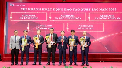 Agribank Dong Long An Branch is in the top 5 units receiving the title of branch with outstanding training achievements in 2025.