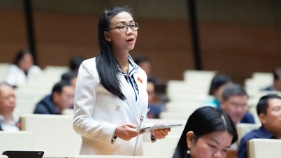 Делегати Національних зборів пропонують вивчити механізм переговорів та розподілу доходів між інформаційними агентствами та основними цифровими платформами.